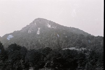 Dense evergreen forest occupies foreground, transitioning to a steep, rocky mountain peak. Patches of snow cling to higher el...
