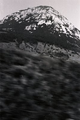 Striking black and white photograph depicts a snow-capped mountain rising above dense, forested slopes. Likely taken from a m...