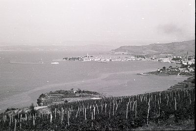 A wide view captures a coastal town nestled on a bay, likely the Black Sea. A ship sails on the water, while vineyards line t...