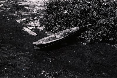 A weathered, dark-hulled boat rests partially submerged among rocks and dense, dark foliage. The composition emphasizes textu...