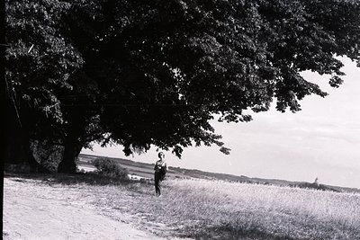 A solitary figure stands on a grassy path beneath a large, leafy tree, gazing towards a distant, rolling landscape. The scene...