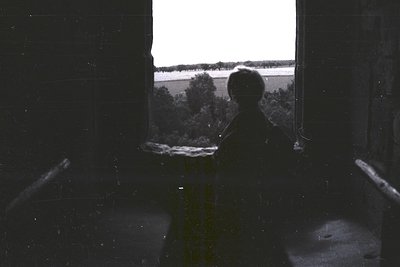A lone figure stands silhouetted in a window, overlooking a vast, flat landscape with scattered trees. The image, likely a sn...
