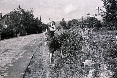 A barefoot woman in a patterned dress playfully covers her face, appearing to hide amongst tall grasses along a paved road. A...