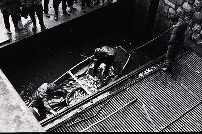 Men appear to be transporting fish on an escalator, a striking and unusual scene. The escalator is visibly wet and slightly d...