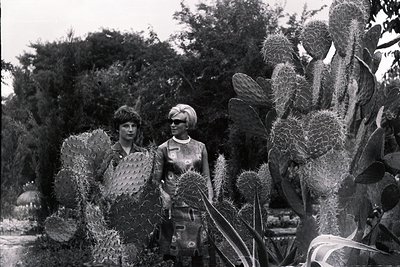 Two women stand amid a dense collection of cacti and agave plants, likely in a subtropical garden. The woman on the left has ...