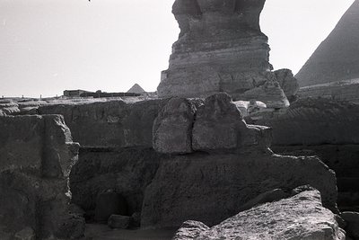 Close-up of the **Great Sphinx of Giza** with weathered limestone texture, showcasing erosion and ancient craftsmanship. Pyra...