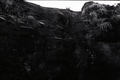 High-contrast monochrome shot of rugged coastal cliffs with dense vegetation. Jagged rock formations and cascading water sugg...