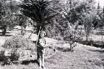 Mid-20th century black-and-white photo of a child holding a large palm frond in a lush garden. Dense foliage and mature trees...