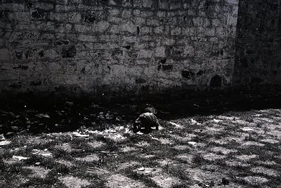 Monochrome urban ruin shot in low light, featuring weathered concrete wall with exposed rebar and peeling plaster. Sunlight f...