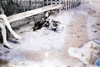 Vintage sepia-toned photo of a dog playfully wrestling with a child’s legs near a wooden bench in an outdoor courtyard. Concr...