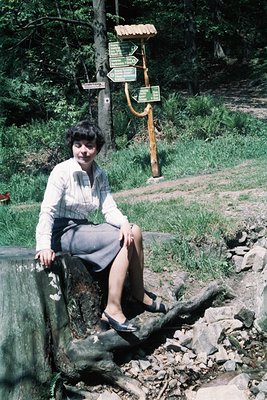 A woman sits on a stone ledge beside a forested trail, wearing a striped blouse, knee-length skirt, and black shoes. Wooden d...