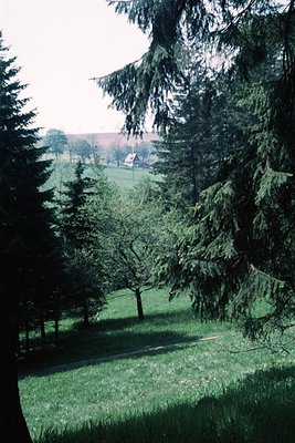 Lush landscape featuring dense evergreen trees framing a winding gravel path through a verdant meadow. Distant farmhouse and ...
