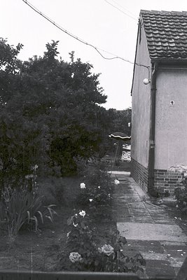 Mid-century concrete house exterior with tiled roof, featuring a narrow, overgrown pathway bordered by wildflowers and dense ...