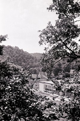 Mid-century modern villa nestled in a forested valley, framed by dense foliage. Clean lines and large windows suggest 1950s–1...