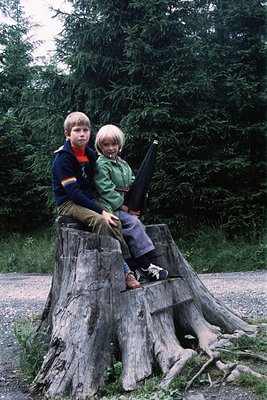 Two children pose on a large tree stump in a forested area, likely mid-20th century. Boy on left wears striped sweater, boy o...