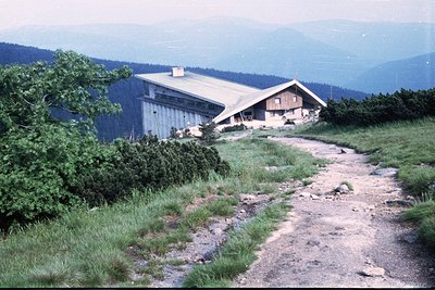 Mountain lodge perched on a forested ridge, surrounded by dense pine trees and rolling alpine peaks. Rustic wooden structure ...