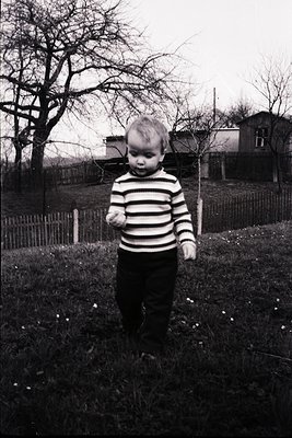 Young child in striped sweater stands in overgrown backyard, holding small object. Leafless trees and rustic fence frame scen...