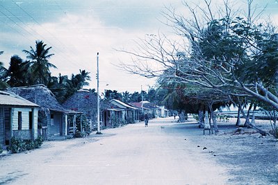 Vintage coastal village street lined with modest, weathered wooden houses. Palm trees and sparse vegetation frame the road, s...