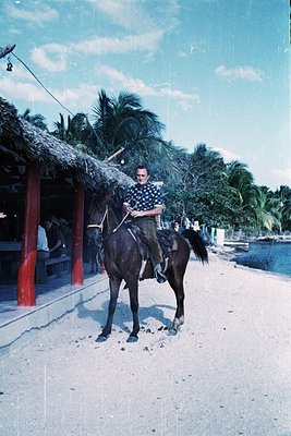 Mid-20th century beachside scene: Man in checkered shirt rides black horse on sandy shore, palm trees framing thatched-roof h...