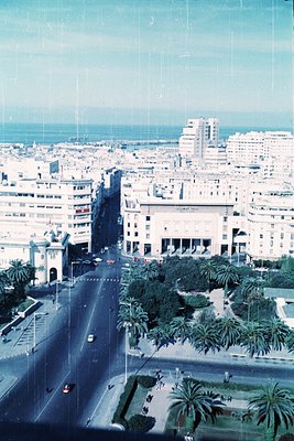 Mid-century coastal cityscape with palm-lined boulevard leading to ocean. White Brutalist and modernist buildings dominate th...