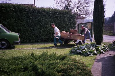 Two men transport harvested cabbages in a wooden cart on a residential driveway, flanked by a vintage car () and trimmed hedg...