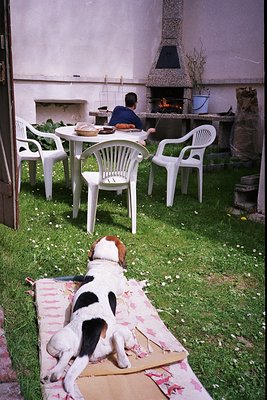 A relaxed black-and-tan dog lounges on a floral-patterned mat beside a rustic outdoor dining area with white plastic chairs a...