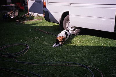 A black-and-white beagle sniffs the ground near a white RV’s rear wheel, with a coiled purple hose beside it. Outdoor camping...