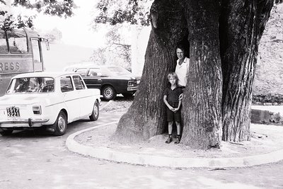Two individuals pose beside a massive tree trunk in a mid-20th-century street scene. Classic cars (Volkswagen Beetle, vintage...