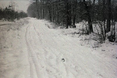 Vintage black-and-white photo of a snow-covered rural road flanked by bare trees and shrubs. Light dusting of snow on ground ...