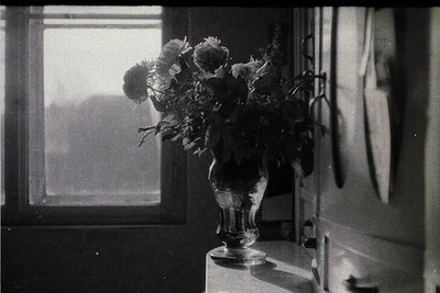 Vintage black-and-white still life of a clear glass vase holding wildflowers by a window, backlit for soft contrast. Mid-cent...