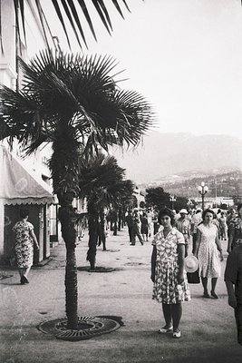 Mid-20th century seaside promenade with palm trees lining a wide walkway. Women in floral dresses and hats stroll along a pav...