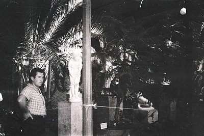 Black-and-white shot of a 1960s/70s indoor garden scene with palm trees and classical statue. Man in checkered shirt poses ne...