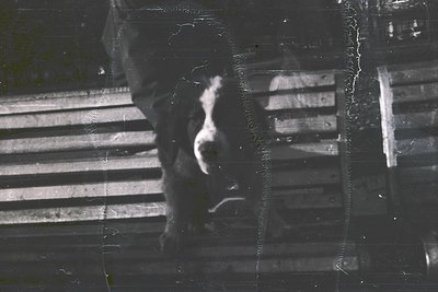 Vintage monochrome reflection of a person in a striped shirt through a fogged or scratched glass surface, likely a train wind...