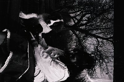 Vintage black-and-white photo of a woman in a lace dress, seated under bare winter trees. Her posture suggests contemplation ...