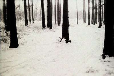 A black and white photograph depicting a snow-covered forest. Tall, slender trees dominate the frame, receding into a misty, ...