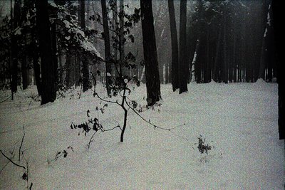 Monochromatic image depicting a snowy forest scene. A thick blanket of snow covers the ground, with bare trees receding into ...