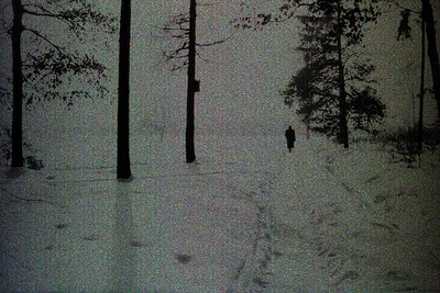 A solitary figure walks through a snow-covered forest, framed by tall, dark trees. The image has a grainy texture, suggesting...