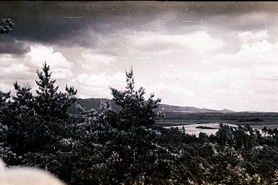 Dramatic landscape with evergreen trees in the foreground, a wide river valley stretching to distant, softly-defined hills un...