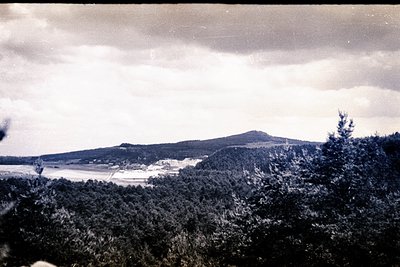 A grayscale, landscape photograph showing dense evergreen forest foliage in the foreground, sloping up to a distant, forested...