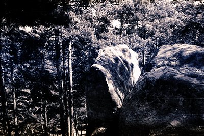 Dramatic, high-contrast view of weathered rock formations emerging from a dense, dark forest. Textured stone surfaces display...