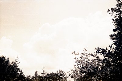 A vintage photograph captures a dramatic sky filled with billowing clouds, framed by dark foliage on both sides. The image ex...