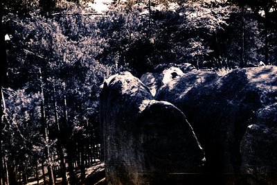 Striking, high-contrast view of a weathered boulder formation within a dense, dark forest. Textured rock face dominates the f...