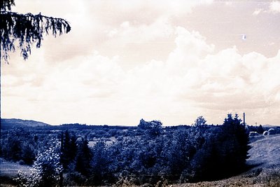 A panoramic view showcases a lush landscape, likely a rural or forested area. The image is rendered in a monochromatic blue t...