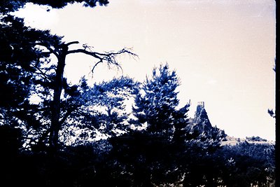 Striking, high-contrast landscape photo. Prominent conifer trees frame a distant, crumbling stone structure, possibly ruins o...