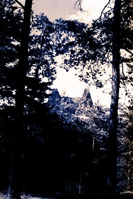 Framed by dark tree branches, this view showcases a weathered stone structure, potentially a castle or fortified building, at...