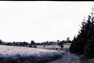 A lone figure works a field under a vast sky. Gentle, rolling hills define the landscape, punctuated by scattered trees and a...