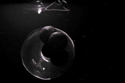 Monochrome still life features three dark, round objects within a clear glass dish. The background is nearly black, emphasizi...