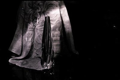 Dramatic, high-contrast black and white photo features a darkly reflective vase placed before a patterned curtain. Strong lig...