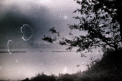A grainy, black-and-white photograph depicts a body of water under an overcast sky. A tree with delicate foliage partially ob...