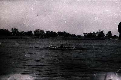A swimmer’s silhouette cuts across the surface of a still body of water, likely a lake or pond. A dense line of trees defines...